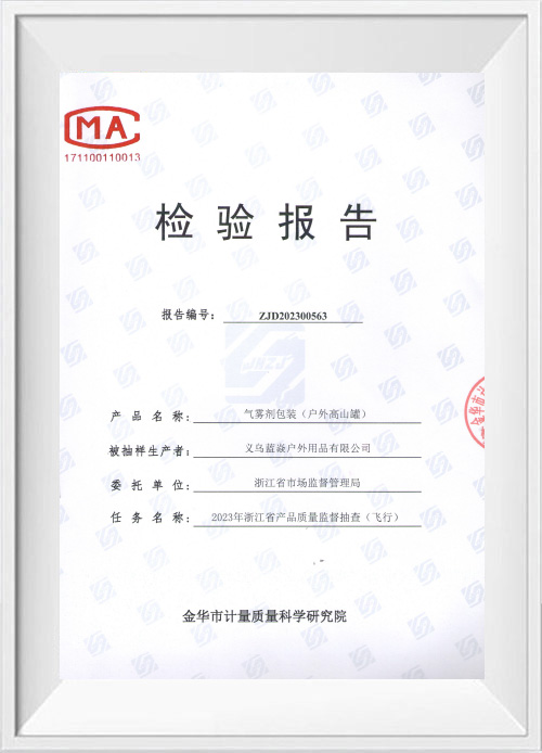 MA cans inspection report