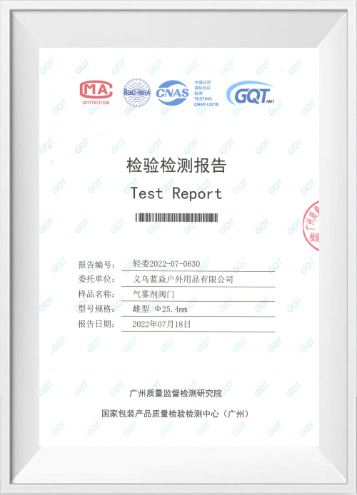 MA Valve Inspection Report